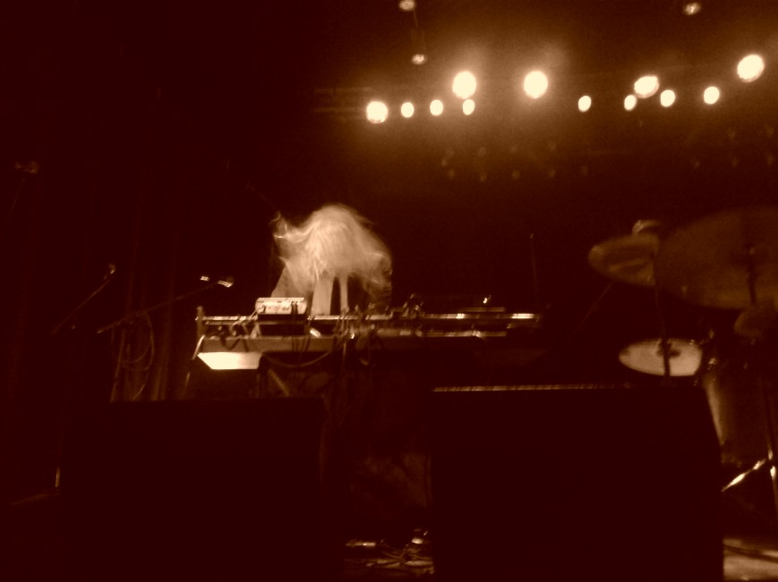 Fuzz Orchestra, Bronson