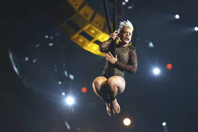 pink grammy 2014