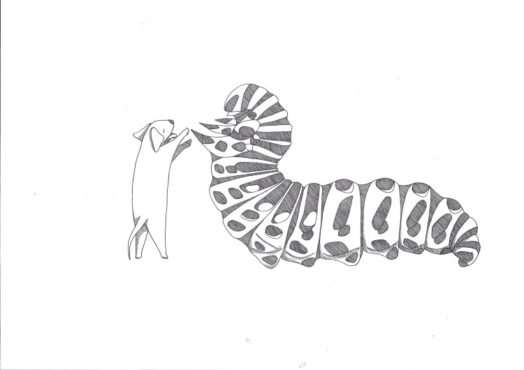 DAGS! disegno di Salaparto