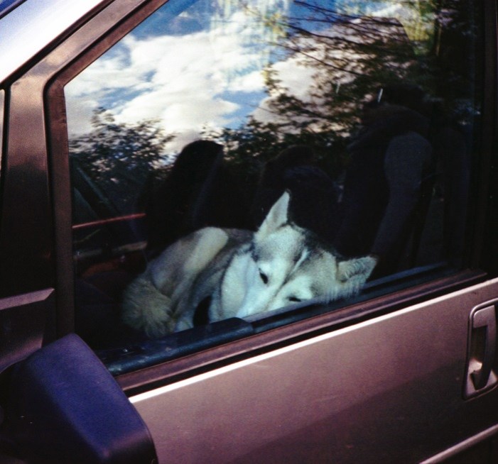 Giving_Up_On_People-COVER